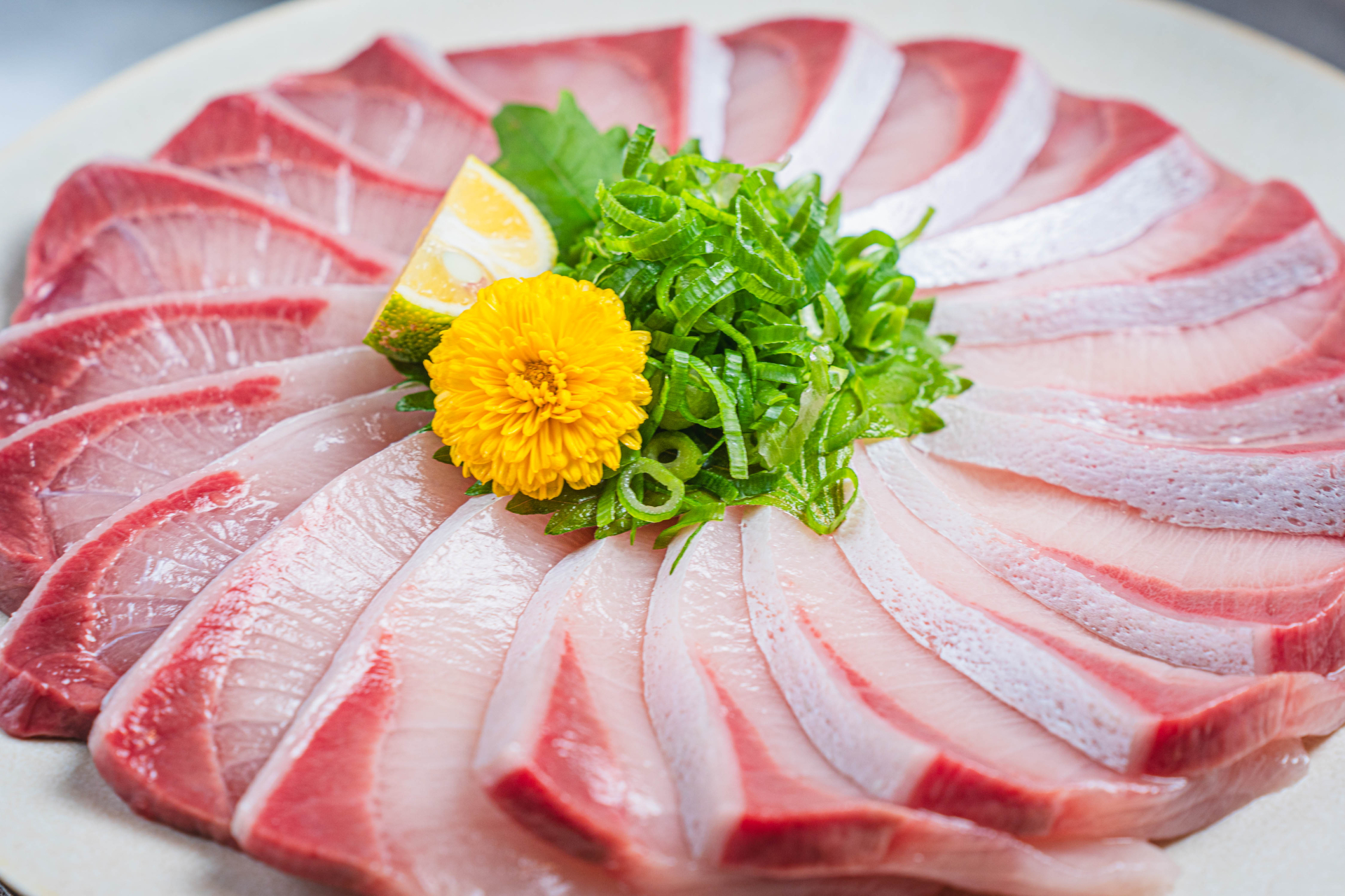 今年の父の日は養殖ブリで決まり！美味しい贈り物！
